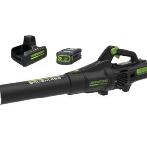 Greenworks Commercial 82V Axial Leaf Blower 82B600 Kit with 2aH Battery and Dual Port Charger